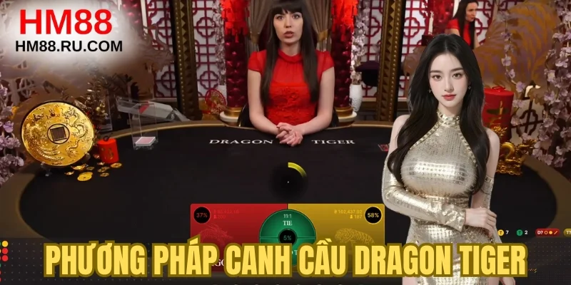 Phương pháp canh cầu Dragon Tiger