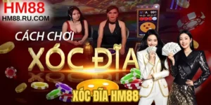 Xóc Đĩa HM88 - Bật Mí Cách Chơi & Quy Luật Bàn Cược